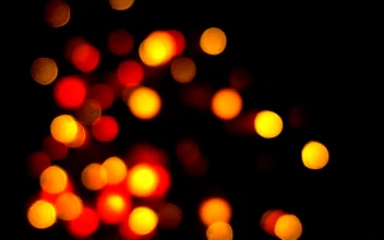 Stock Video Multi Colored Alternating Small Lights Bokeh