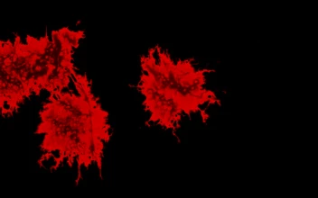 Stock Video Murder Blood On Black Background