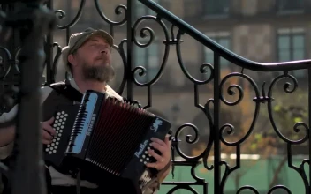 Stock Video Musician Playing Accordion On Steps