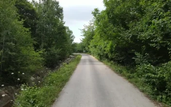 Stock Video Narrow And Lonely Road Surrounded By A Forest