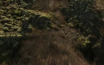 Stock Video Natural Landscape