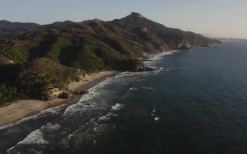 Stock Video Natural Seashore Landscape