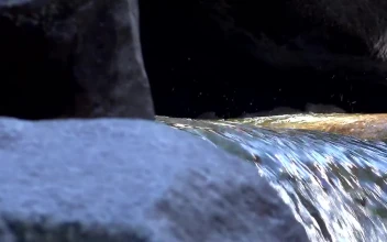 Stock Video Natural Spring Water Flowing On The Rocks