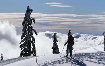 Stock Video Near The Limit At The Top Of A Snowy Mountain