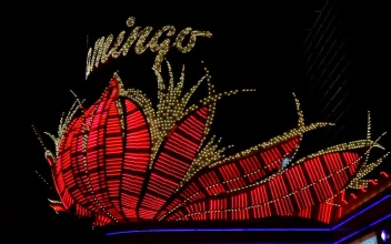 Stock Video Neon Flashing Lights Sign