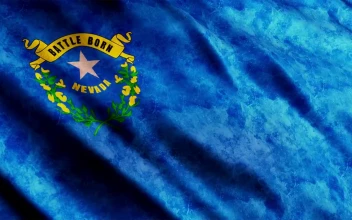 Stock Video Nevada State D Flag