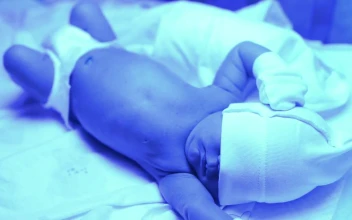 Stock Video Newborn Baby In Hospital Bed