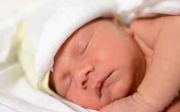 Stock Video Newborn Baby Sleeping