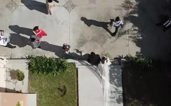 Stock Video Newlyweds Entering Their Wedding Car
