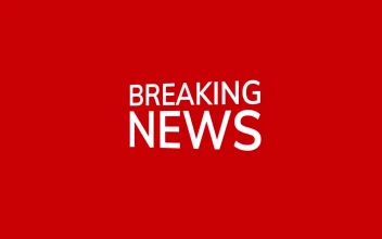 Stock Video News Logo Reveal