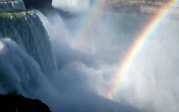 Stock Video Niagara Waterfalls