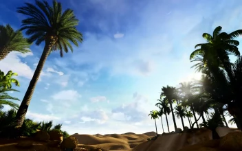 Stock Video Oasis In The Desert Time Lapse