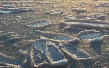 Stock Video Ocean Ice Breaking Apart