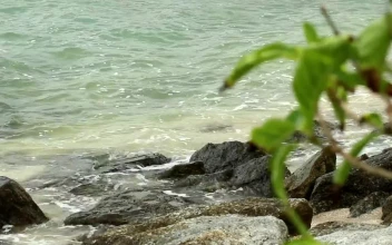 Stock Video Ocean Waters Breaking On Rocks