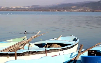 Stock Video Old Boats On The Shore Of A Large Lake