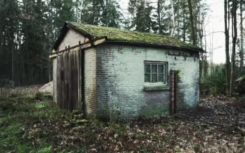 Stock Video Old Brick Shed In A Forest