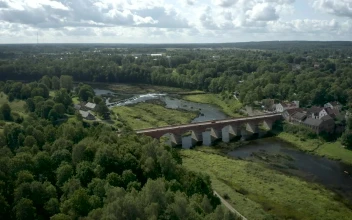 Stock Video Old Bridge And The Forest