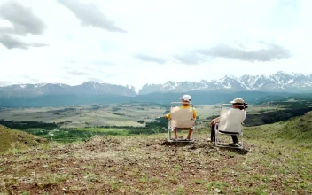 Stock Video Old Couple Looking At The Horizon On A Hill