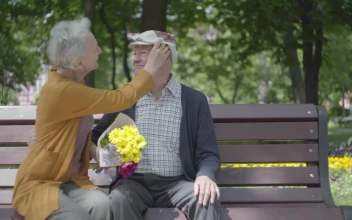 Stock Video Old Couple Sitting On A Bench In A Park