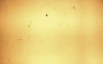 Stock Video Old Film Playing On A White Background