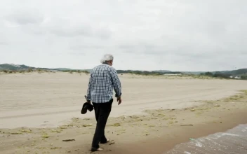 Stock Video Old Man Walking By The Shore