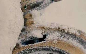 Stock Video Old Pocket Watch Thrown In The Snow