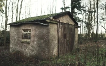 Stock Video Old Shed In The Forest