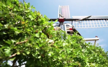 Stock Video Old Windmill On A Sunny Day