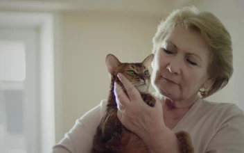 Stock Video Old Woman Hugging Her Cat