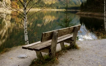 Stock Video Old Wooden Bench By The Lakeshore