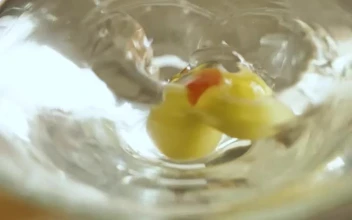 Stock Video Olive Falling Into A Martini Glass