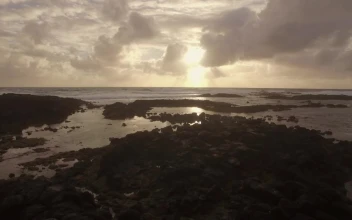 Stock Video On The Coast Of The Indian Ocean
