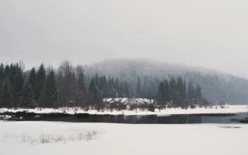 Stock Video Open Environment Of A Cold And Snowy Forest