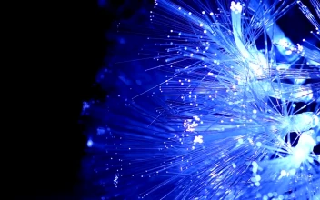 Stock Video Optic Fiber Glowing Blue In A Black Background