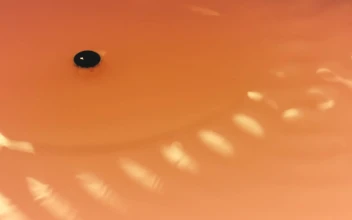 Stock Video Orange Liquid Waving Seen In Detail