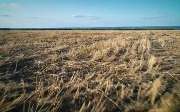 Stock Video Over Flying On A Dry Agriculture Field