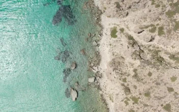 Stock Video Overhead Top Down Aerial Of The Coast