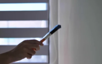 Stock Video Painting A Wall In A New House