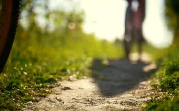 Stock Video Pair Of Female Cyclist Riding In Nature