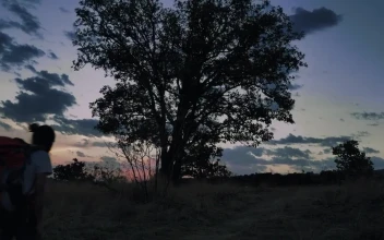 Stock Video Pair Of Mountaineers Walking Through Nature At Dusk
