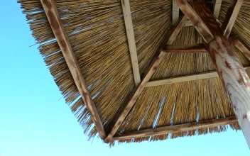 Stock Video Palm Roof On A Sunny Day