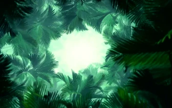 Stock Video Palm Tunnel D Animation