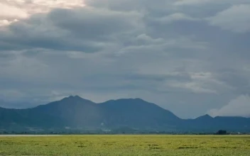 Stock Video Panorama Of A Large Natural Plain On A Sunny Afternoon