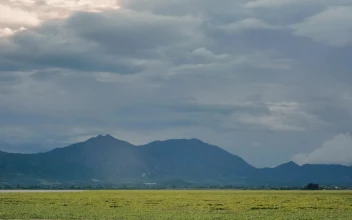 Stock Video Panorama Of A Large Natural Plain On A Sunny Afternoon Large