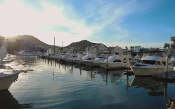 Stock Video Panorama Of A Tourist Port Full Of Boats And Sailboats