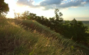 Stock Video Panoramic Shot Of A Landscape In A Valley