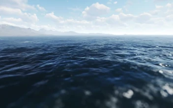 Stock Video Panoramic View Of The Sea Surface