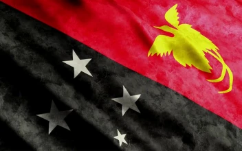 Stock Video Papua New Guinea D Flag