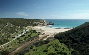 Stock Video Paradise Beach Aerial View