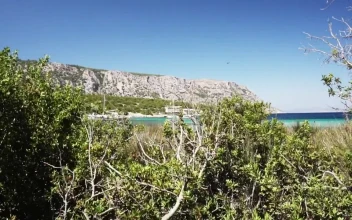 Stock Video Paradisiacal Tourist Bay